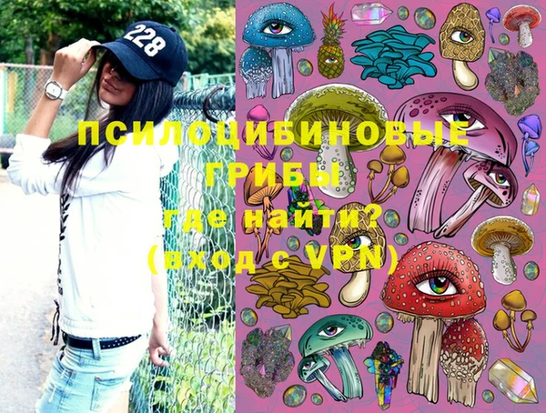 твердый Михайловск