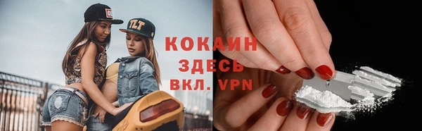 твердый Михайловск