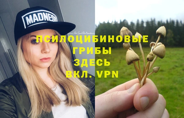 бутират Михайлов