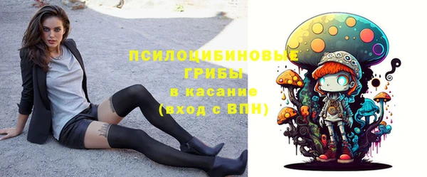 твердый Михайловск
